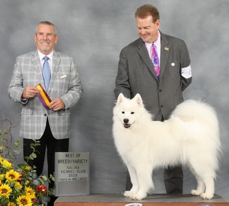 GCHS CH XnO's Barking at the Moon RI TKN FITS (Luna)